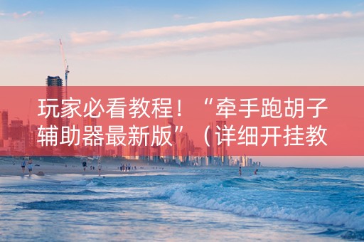 玩家必看教程！“牵手跑胡子辅助器最新版”（详细开挂教程）-哔哩哔哩