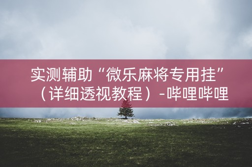 实测辅助“微乐麻将专用挂”（详细透视教程）-哔哩哔哩
