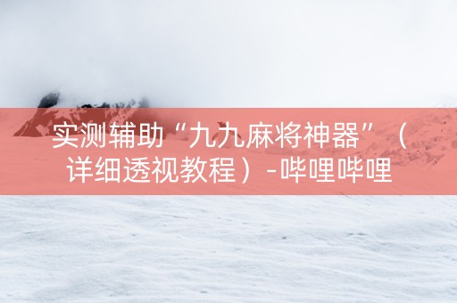 实测辅助“九九麻将神器”（详细透视教程）-哔哩哔哩