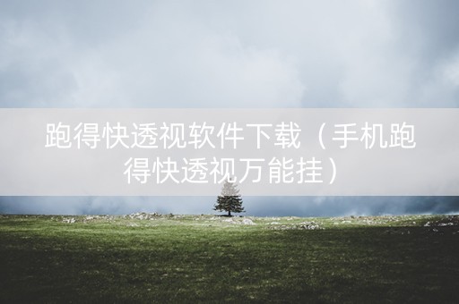 跑得快透视软件下载（手机跑得快透视万能挂）