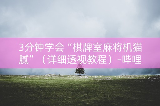 3分钟学会“棋牌室麻将机猫腻”（详细透视教程）-哔哩哔哩