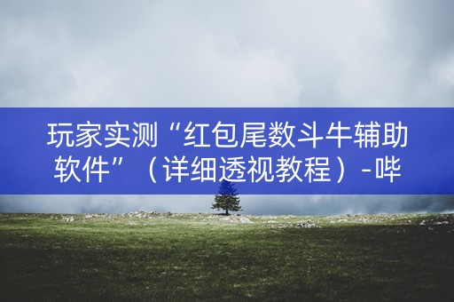 玩家实测“红包尾数斗牛辅助软件”（详细透视教程）-哔哩哔哩
