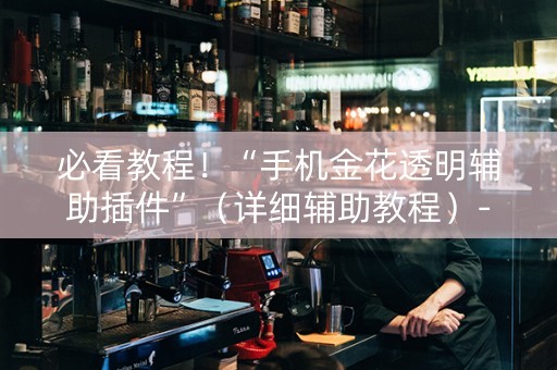 必看教程！“手机金花透明辅助插件”（详细辅助教程）-哔哩哔哩