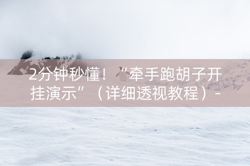 2分钟秒懂！“牵手跑胡子开挂演示”（详细透视教程）-哔哩哔哩