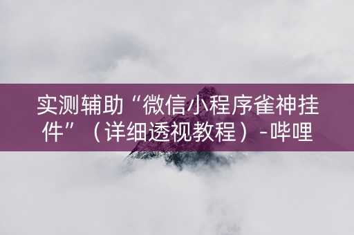 实测辅助“微信小程序雀神挂件”（详细透视教程）-哔哩哔哩