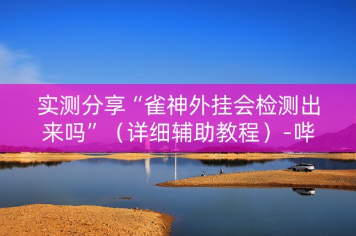 实测分享“雀神外挂会检测出来吗”（详细辅助教程）-哔哩哔哩