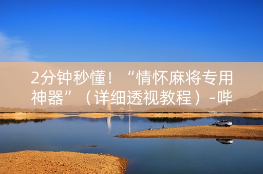 2分钟秒懂！“情怀麻将专用神器”（详细透视教程）-哔哩哔哩