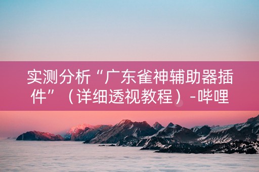 实测分析“广东雀神辅助器插件”（详细透视教程）-哔哩哔哩