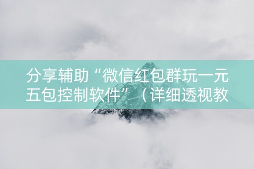 分享辅助“微信红包群玩一元五包控制软件”（详细透视教程）-哔哩哔哩