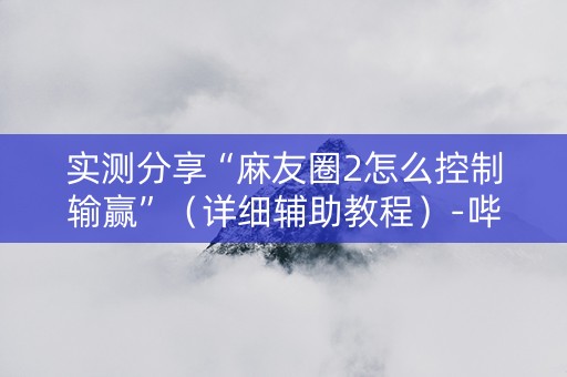 实测分享“麻友圈2怎么控制输赢”（详细辅助教程）-哔哩哔哩