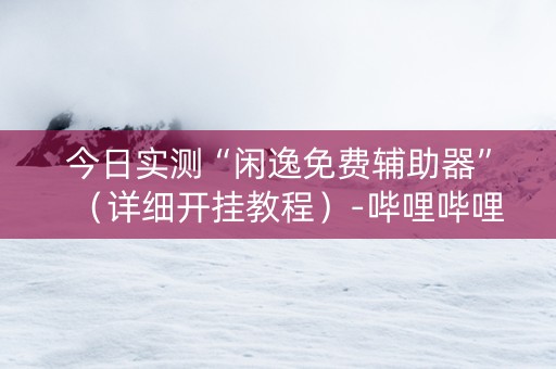 今日实测“闲逸免费辅助器”（详细开挂教程）-哔哩哔哩
