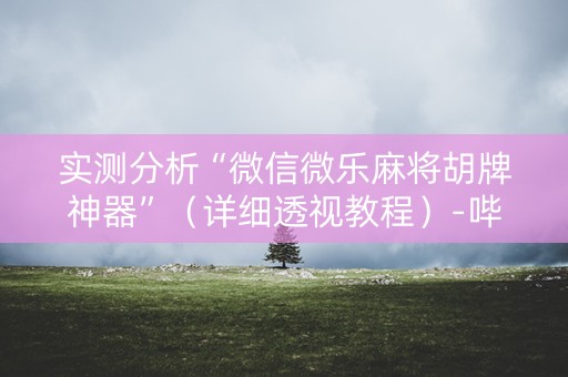 实测分析“微信微乐麻将胡牌神器”（详细透视教程）-哔哩哔哩