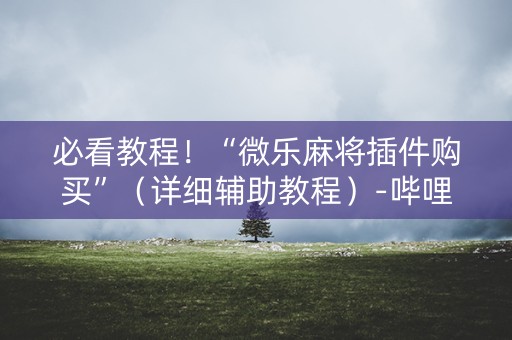 必看教程！“微乐麻将插件购买”（详细辅助教程）-哔哩哔哩