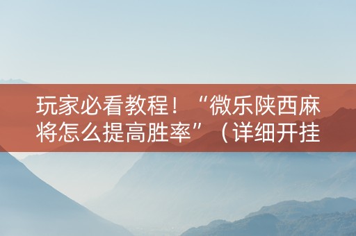 玩家必看教程！“微乐陕西麻将怎么提高胜率”（详细开挂教程）-哔哩哔哩
