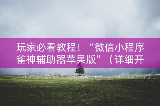 玩家必看教程！“微信小程序雀神辅助器苹果版”（详细开挂教程）-哔哩哔哩