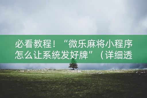必看教程！“微乐麻将小程序怎么让系统发好牌”（详细透视教程）-哔哩哔哩