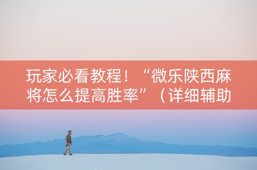 玩家必看教程！“微乐陕西麻将怎么提高胜率”（详细辅助教程）-哔哩哔哩