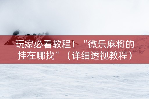 玩家必看教程！“微乐麻将的挂在哪找”（详细透视教程）-哔哩哔哩