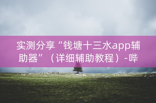 实测分享“钱塘十三水app辅助器”（详细辅助教程）-哔哩哔哩