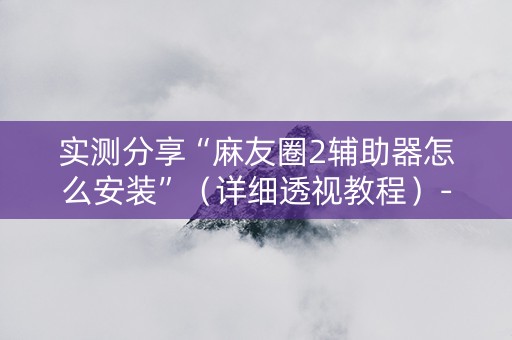 实测分享“麻友圈2辅助器怎么安装”（详细透视教程）-哔哩哔哩