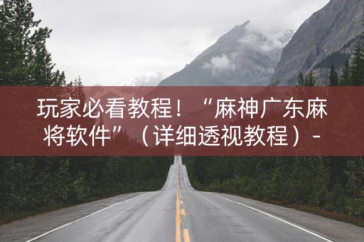 玩家必看教程！“麻神广东麻将软件”（详细透视教程）-哔哩哔哩
