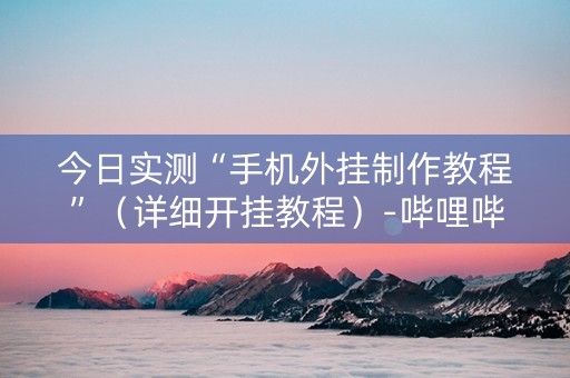 今日实测“手机外挂制作教程”（详细开挂教程）-哔哩哔哩