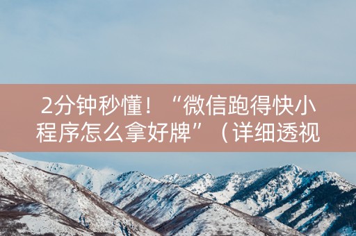2分钟秒懂！“微信跑得快小程序怎么拿好牌”（详细透视教程）-哔哩哔哩