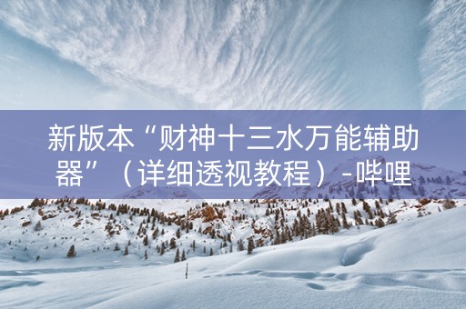 新版本“财神十三水万能辅助器”（详细透视教程）-哔哩哔哩
