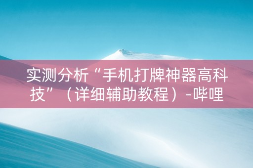 实测分析“手机打牌神器高科技”（详细辅助教程）-哔哩哔哩