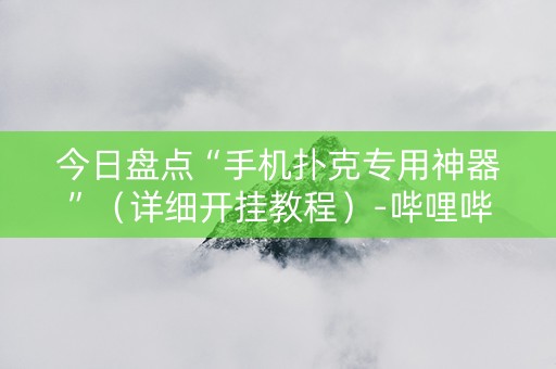 今日盘点“手机扑克专用神器”（详细开挂教程）-哔哩哔哩