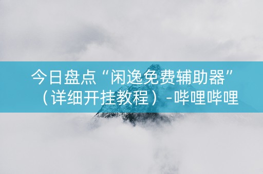 今日盘点“闲逸免费辅助器”（详细开挂教程）-哔哩哔哩