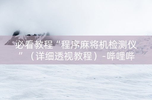 必看教程“程序麻将机检测仪”（详细透视教程）-哔哩哔哩
