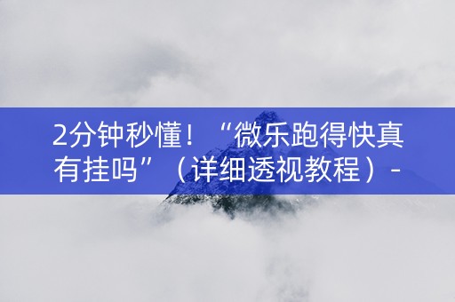 2分钟秒懂！“微乐跑得快真有挂吗”（详细透视教程）-哔哩哔哩