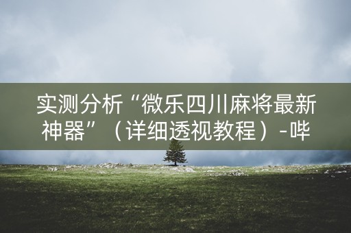 实测分析“微乐四川麻将最新神器”（详细透视教程）-哔哩哔哩