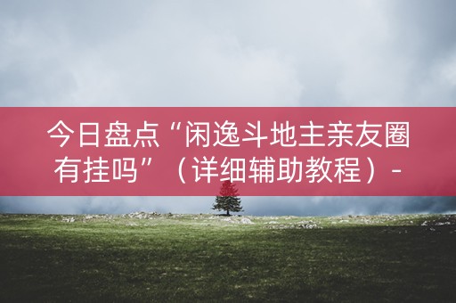 今日盘点“闲逸斗地主亲友圈有挂吗”（详细辅助教程）-哔哩哔哩