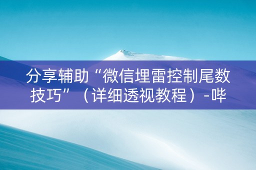 分享辅助“微信埋雷控制尾数技巧”（详细透视教程）-哔哩哔哩