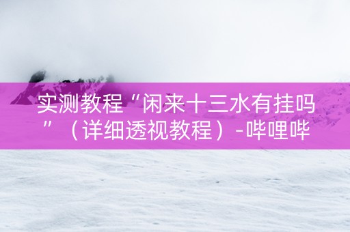 实测教程“闲来十三水有挂吗”（详细透视教程）-哔哩哔哩