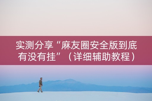 实测分享“麻友圈安全版到底有没有挂”（详细辅助教程）-哔哩哔哩