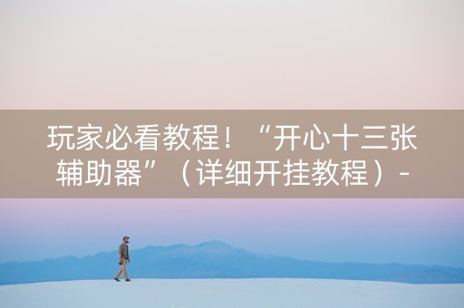 玩家必看教程！“开心十三张辅助器”（详细开挂教程）-哔哩哔哩