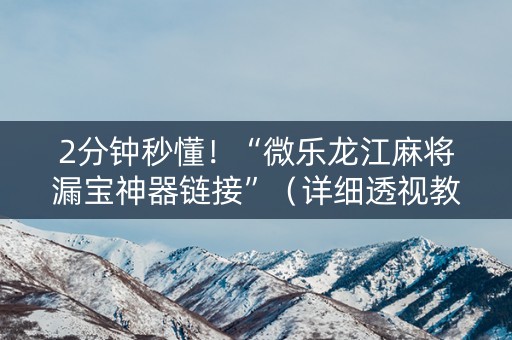 2分钟秒懂！“微乐龙江麻将漏宝神器链接”（详细透视教程）-哔哩哔哩