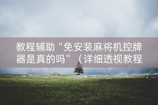 教程辅助“免安装麻将机控牌器是真的吗”（详细透视教程）-哔哩哔哩