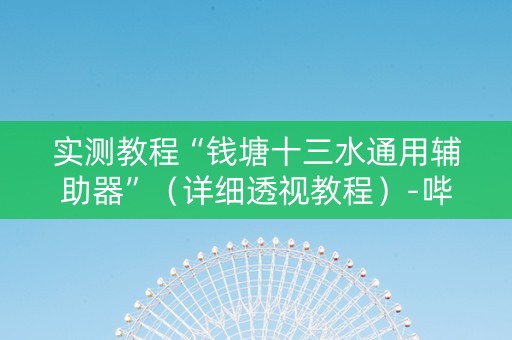 实测教程“钱塘十三水通用辅助器”（详细透视教程）-哔哩哔哩