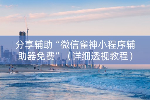分享辅助“微信雀神小程序辅助器免费”（详细透视教程）-哔哩哔哩