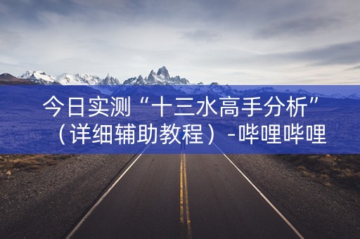 今日实测“十三水高手分析”（详细辅助教程）-哔哩哔哩