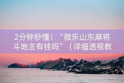 2分钟秒懂！“微乐山东麻将斗地主有挂吗”（详细透视教程）-哔哩哔哩