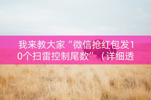 我来教大家“微信抢红包发10个扫雷控制尾数”（详细透视教程）-哔哩哔哩