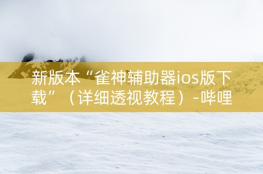 新版本“雀神辅助器ios版下载”（详细透视教程）-哔哩哔哩
