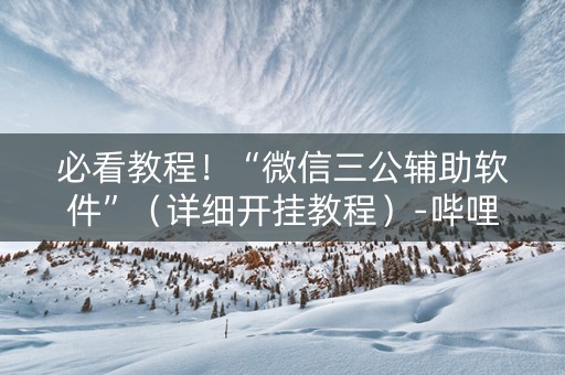 必看教程！“微信三公辅助软件”（详细开挂教程）-哔哩哔哩