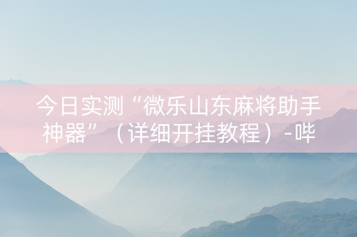 今日实测“微乐山东麻将助手神器”（详细开挂教程）-哔哩哔哩