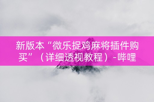 新版本“微乐捉鸡麻将插件购买”（详细透视教程）-哔哩哔哩